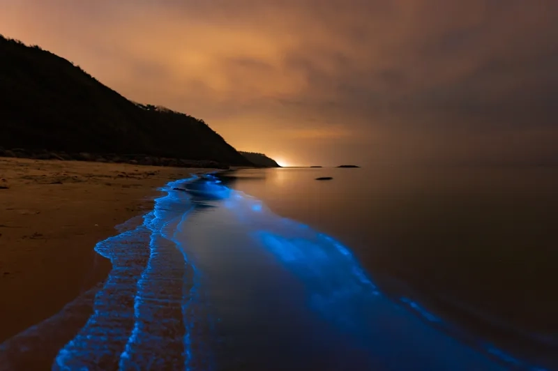 Làn nước phát sáng màu xanh neon kỳ ảo