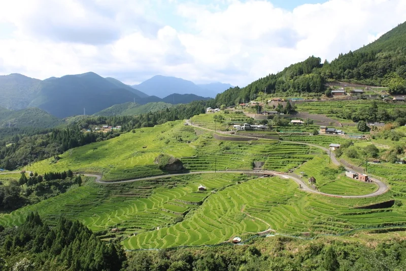 Khám phá ruộng bậc thang tự nhiên tuyệt đẹp