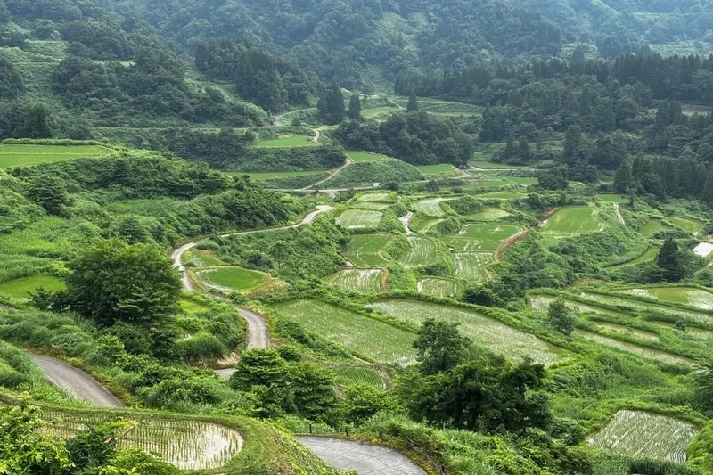 Khám phá ruộng bậc thang truyền thống độc đáo
