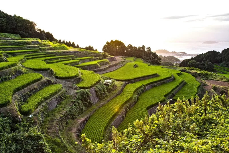 Khám phá ruộng bậc thang vùng cao hùng vĩ