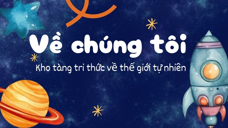 Sứ mệnh lan tỏa tri thức khoa học