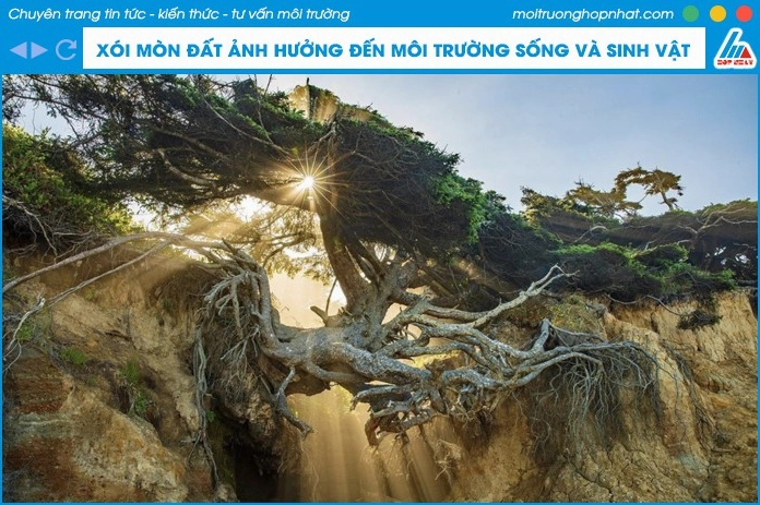 Ảnh hưởng của xói mòn đất đến đời sống con người và môi trường