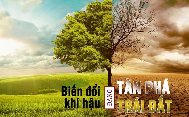 Giải thích biến đổi khí hậu là gì