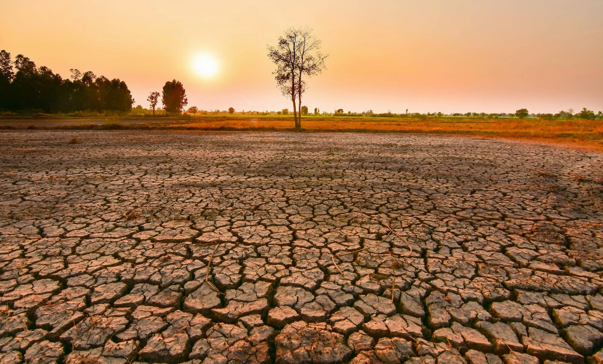 Hiện tượng El Nino làm tăng nhiệt độ Trái Đất