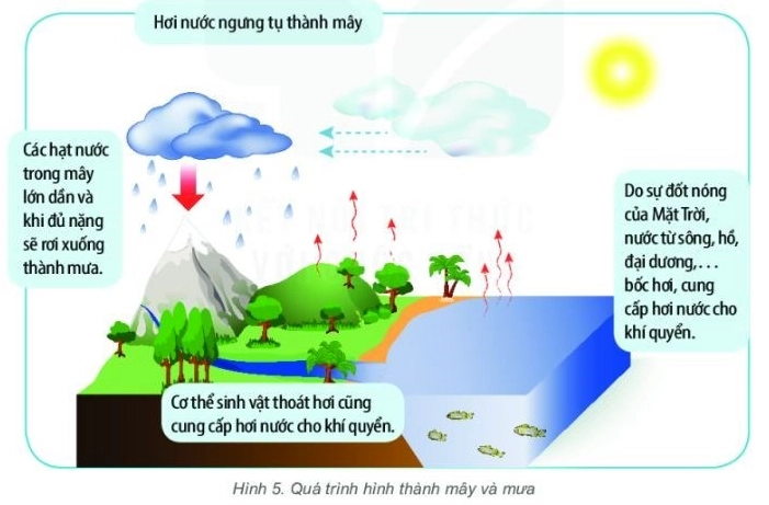Hình ảnh chi tiết quá trình hình thành mưa phóng to