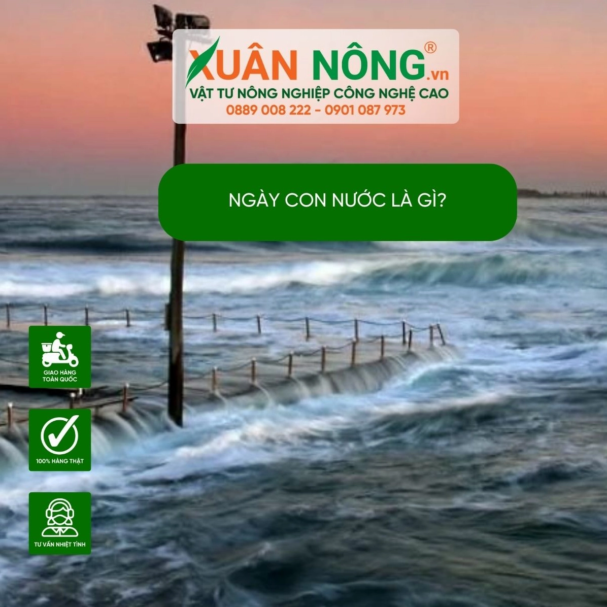 Hình ảnh minh họa ngày con nước là gì liên quan đến thủy triều