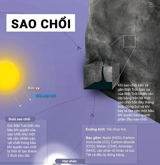 Hình minh họa cấu tạo chi tiết sao chổi với nhân coma và đuôi