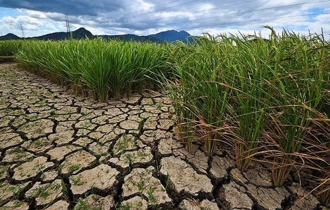 Nguy cơ thiếu hụt nguồn nước do El Nino kết hợp băng tan
