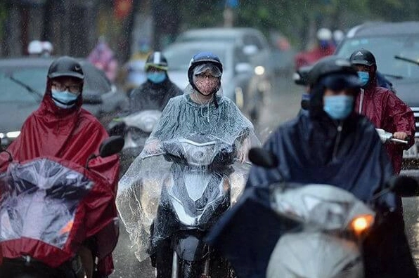 Những biện pháp phòng chống dông hiệu quả