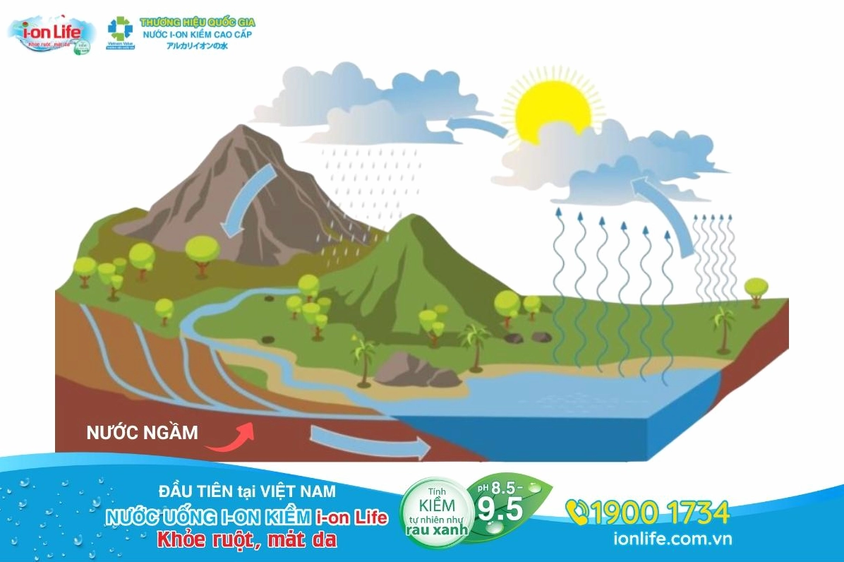 Nước ngầm là phần nước được tích trữ bên dưới bề mặt đất