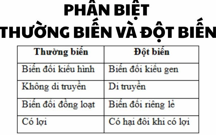 Phân biệt thường biến và đột biến bảng so sánh chi tiết nhất