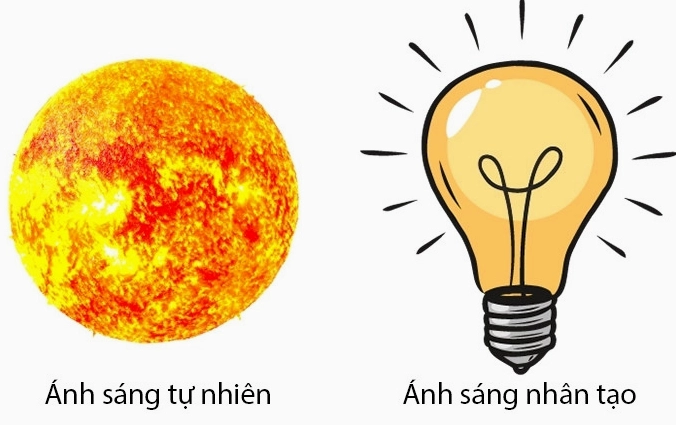 Phân loại nguồn sáng gồm ánh sáng tự nhiên và nhân tạo