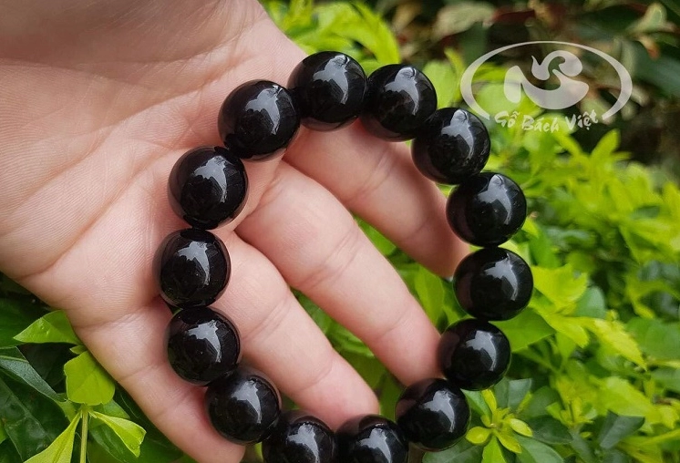 San hô màu đen tự nhiên hiếm gặp