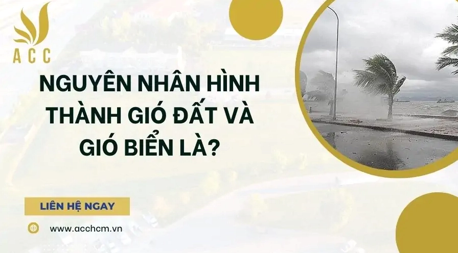 Sơ đồ nguyên nhân hình thành gió đất và gió biển