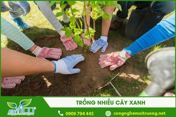 Trồng nhiều cây xanh chống nóng lên toàn cầu
