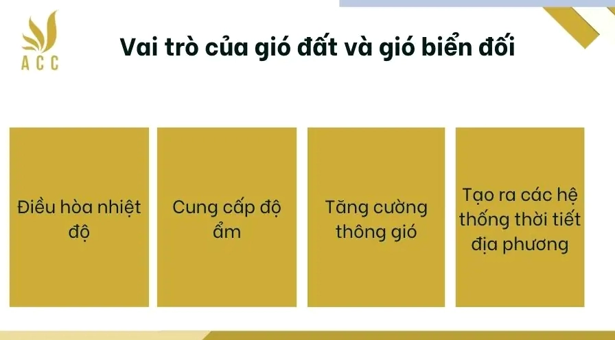Vai trò của gió đất và gió biển đối với khí hậu