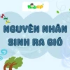 Gió hình thành như thế nào từ chênh lệch áp suất