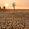 Hiện tượng El Nino là gì và bí mật đằng sau