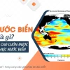 Mực nước biển là gì và chuẩn đo độ cao toàn cầu