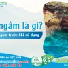 Nước ngầm hình thành như thế nào từ nguồn bí ẩn