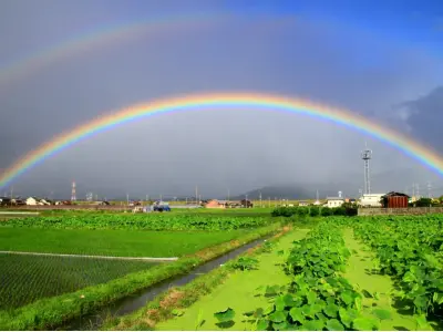 Cầu vồng đôi tuyệt đẹp xuất hiện trên bầu trời huyền ảo