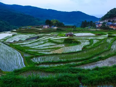 Ruộng bậc thang tuyệt đẹp với cảnh quan núi non ngoạn mục