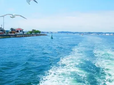 Ảnh sóng bạc đầu sắc nét hé lộ sức mạnh của đại dương