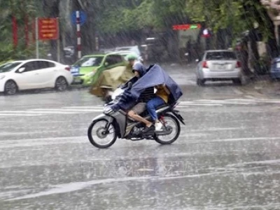 Bão di chuyển như thế nào trong hệ thống khí quyển