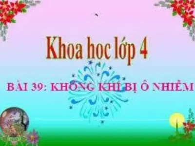 Ô nhiễm không khí do đâu và nguyên nhân chính xác nhất