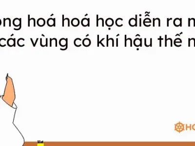 Phong hóa là gì? Quá trình bí ẩn biến đổi đá Trái Đất