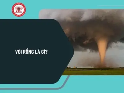 Vòi rồng là gì Hiện tượng thiên nhiên đầy bí ẩn